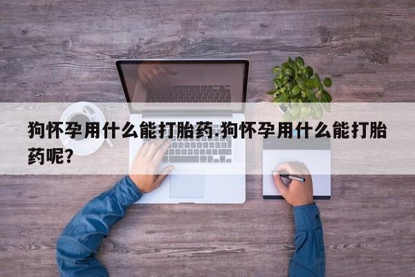 意外怀孕不想要打胎药微信购买狗怀孕用什么能打胎药.狗怀孕用什么能打胎药呢？