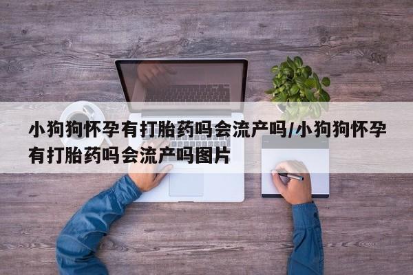 意外怀孕不想要打胎药微信购买小狗狗怀孕有打胎药吗会流产吗/小狗狗怀孕有打胎药吗会流产吗图片