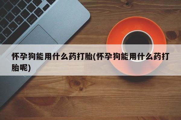 意外怀孕不想要打胎药微信购买怀孕狗能用什么药打胎(怀孕狗能用什么药打胎呢)