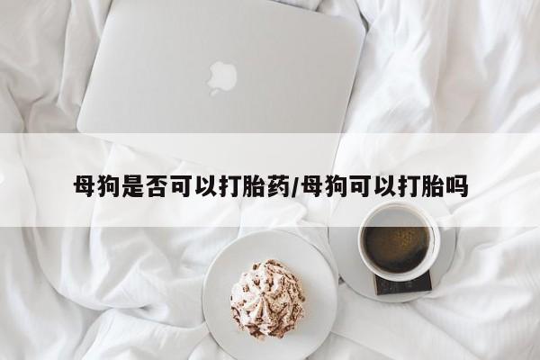 意外怀孕不想要打胎药微信购买母狗是否可以打胎药/母狗可以打胎吗