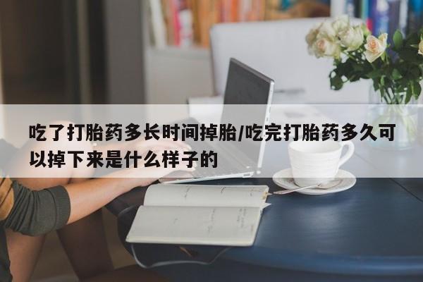 意外怀孕不想要打胎药微信购买吃了打胎药多长时间掉胎/吃完打胎药多久可以掉下来是什么样子的